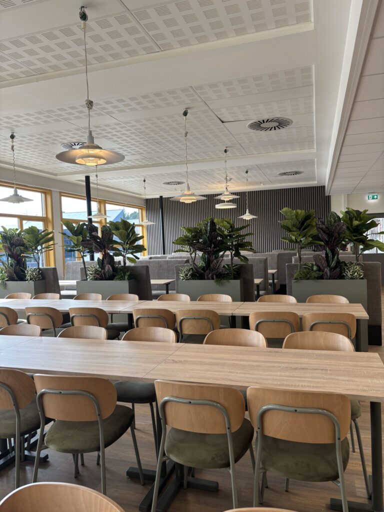 Kantine-13082025-2-scaled En moderne kafeteria med trebord, stoler, pendellamper, store vinduer og grønne potteplanter som deler opp sittegruppene.